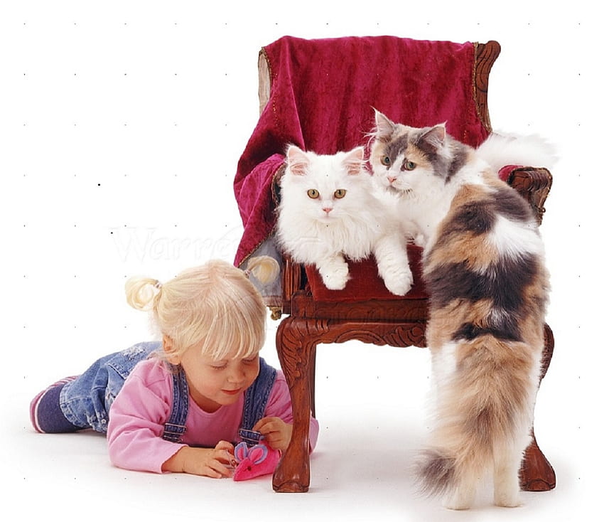小さな女の子と猫、猫、女の子、動物、少し 高画質の壁紙