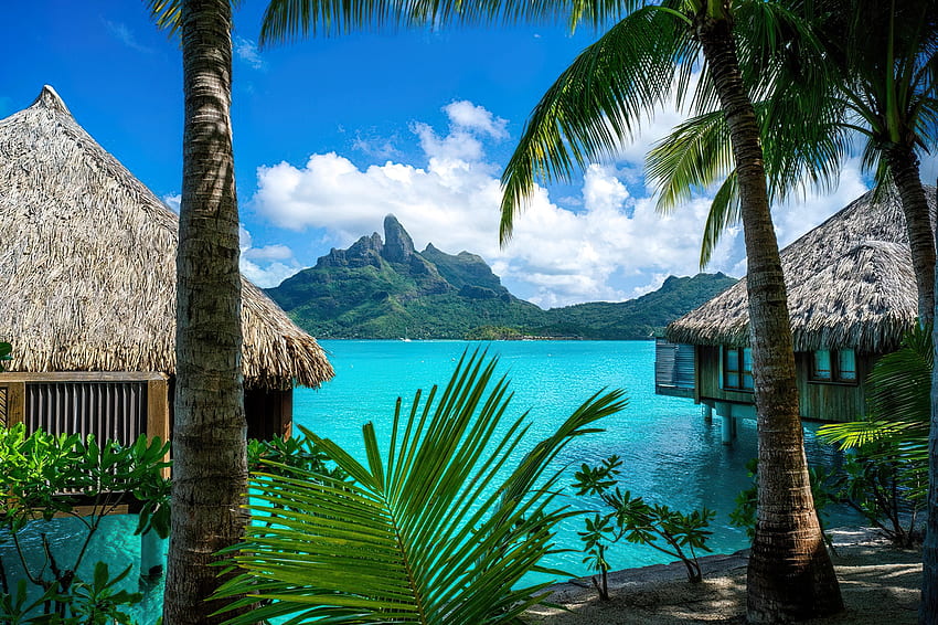 Tahiti vacation, Tahiti, sea, palms, exotic, tropical, paradise, beach, vacation, mountain, summer, huts, rest, view, bungalows, ocean HD wallpaper