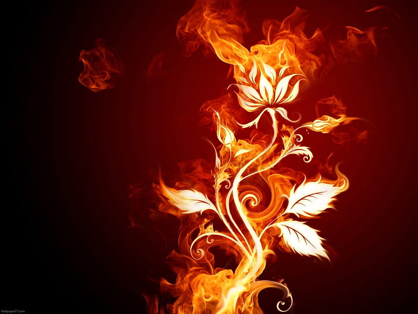 3D Love Hearts 9 Cool - Fire Rose - & Background HD тапет