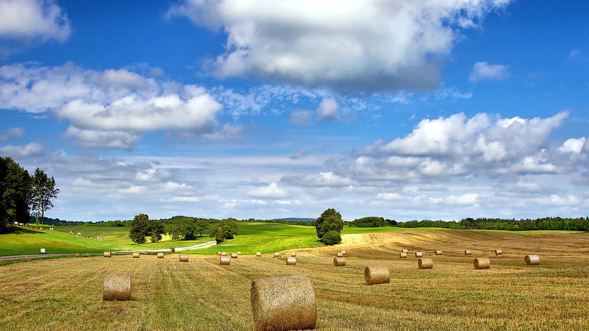 Farm field nature landscape hay summer cloudy sky [] for your , Mobile &  Tablet. Explore Agriculture . Farm , Farming HD wallpaper | Pxfuel