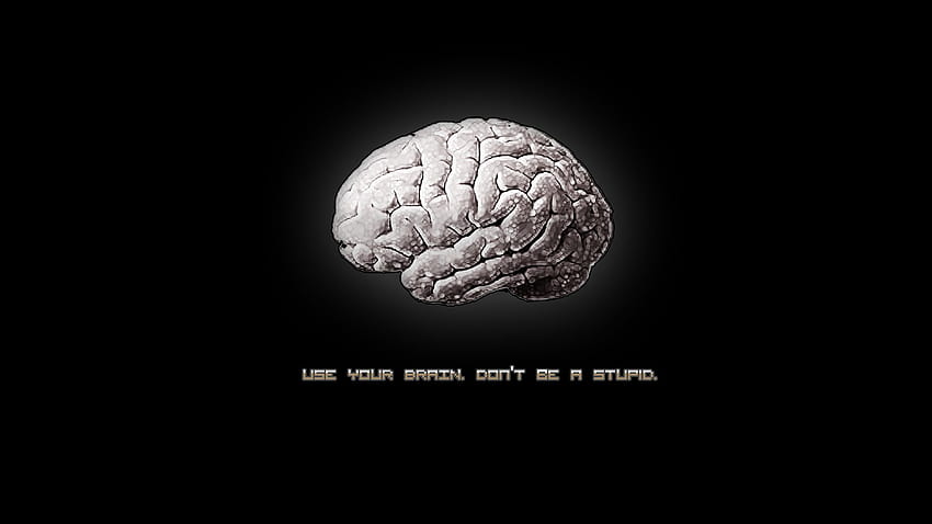 Gehirn, trainiere dein Gehirn HD-Hintergrundbild
