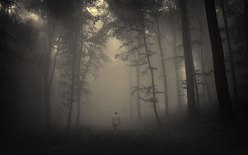 Forest, Trees, Creepy, Nature, Landscape, Misty, Lonely, Old, Man, Road ...