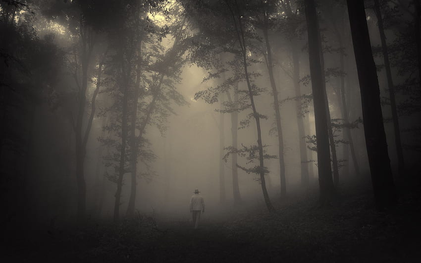 Wald, Bäume, gruselig, Landschaft, Traurigkeit, Straße, Natur, einsamer alter Mann, Nebel, Wald 10120, 2560 X 1600 Forest HD-Hintergrundbild