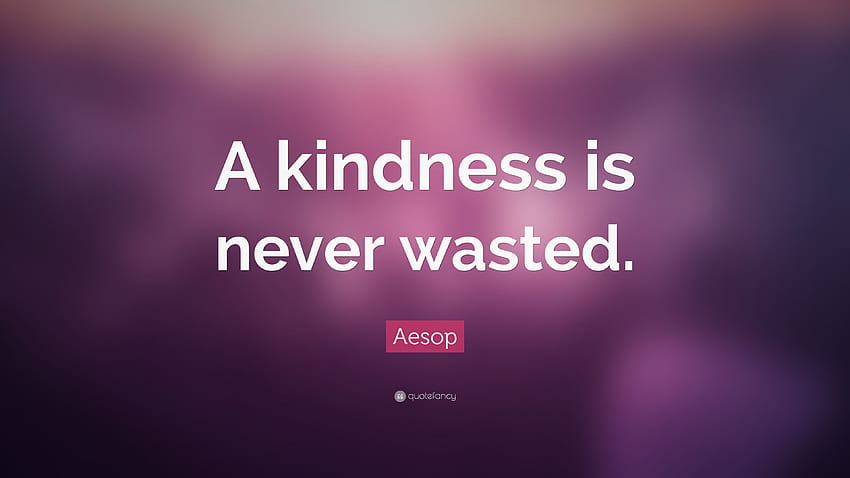 Aesop Quote: “A kindness is never wasted.” 12 HD wallpaper