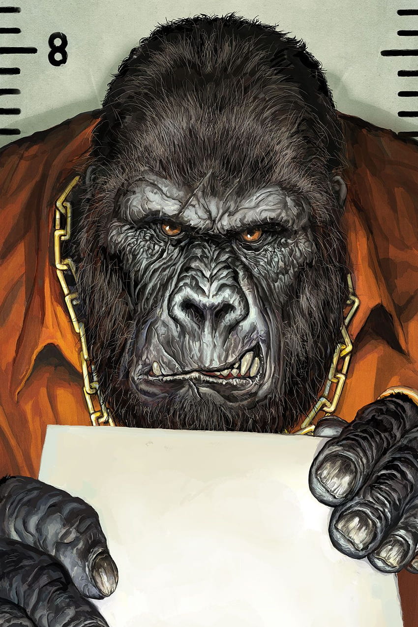 Animal Rights - Gorilla. Monkey art, Gorillas art, Gorilla tattoo, Cartoon Gorilla HD phone wallpaper