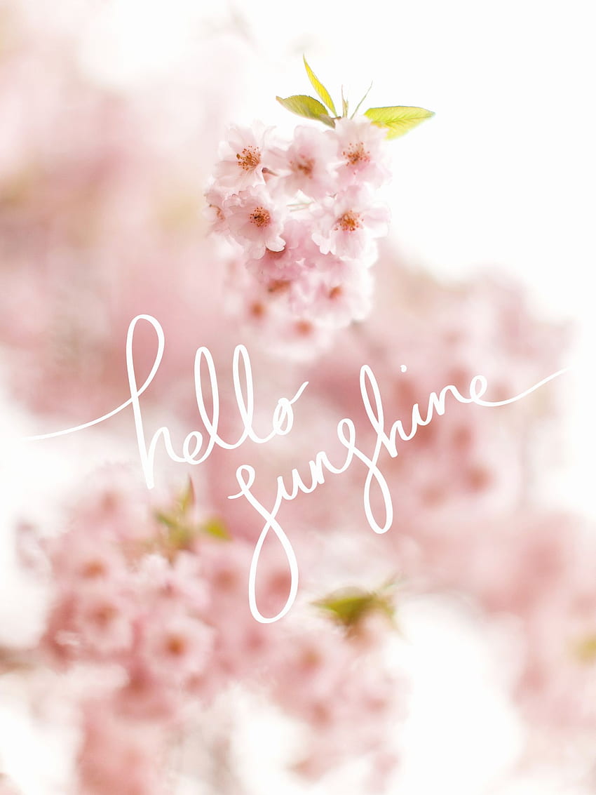 Lovely Hello Spring Of the Day. Two Minds Wallpape, Hello April HD phone wallpaper