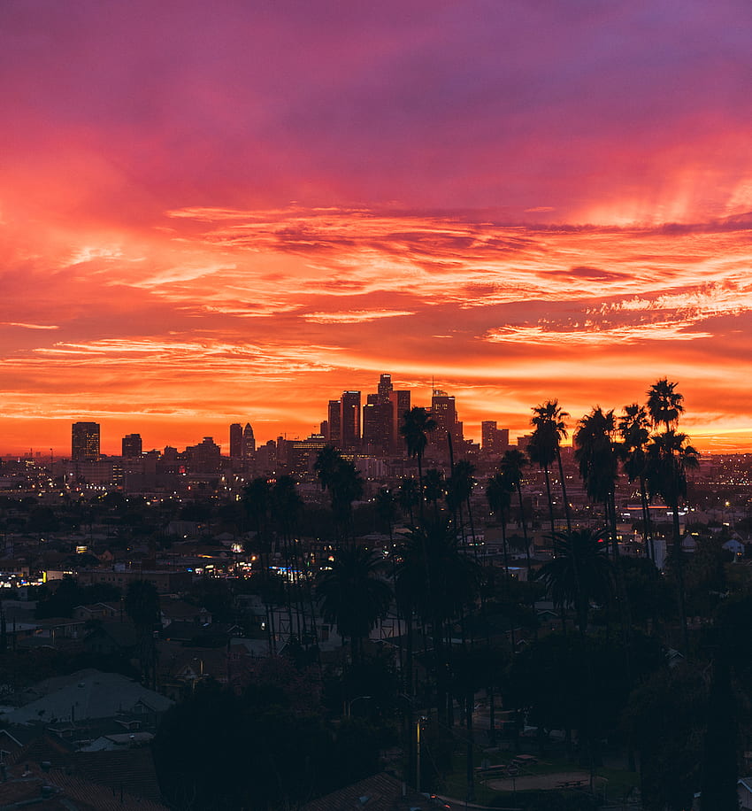 LA sunset. Sunset city, Sunrise city, City aesthetic HD phone wallpaper ...