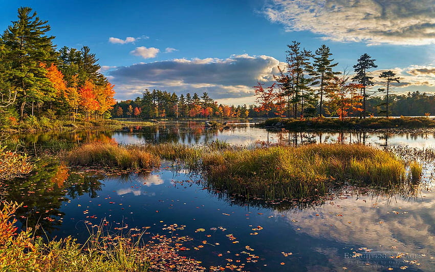 Autumm afternoon at a pond in northern Massachusetts, usa, fall, colors, landscape, trees, clouds, sky HD wallpaper