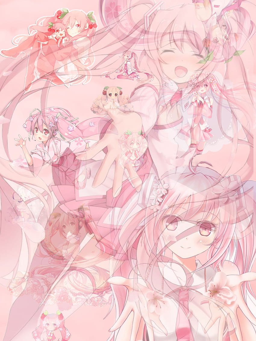 Sakura Miku HD wallpaper download