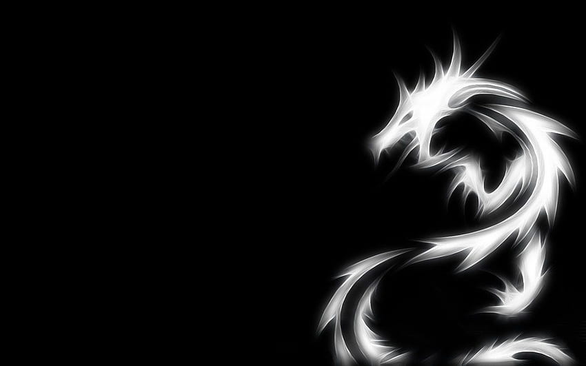 White Dragon, Black and White Dragon HD wallpaper | Pxfuel