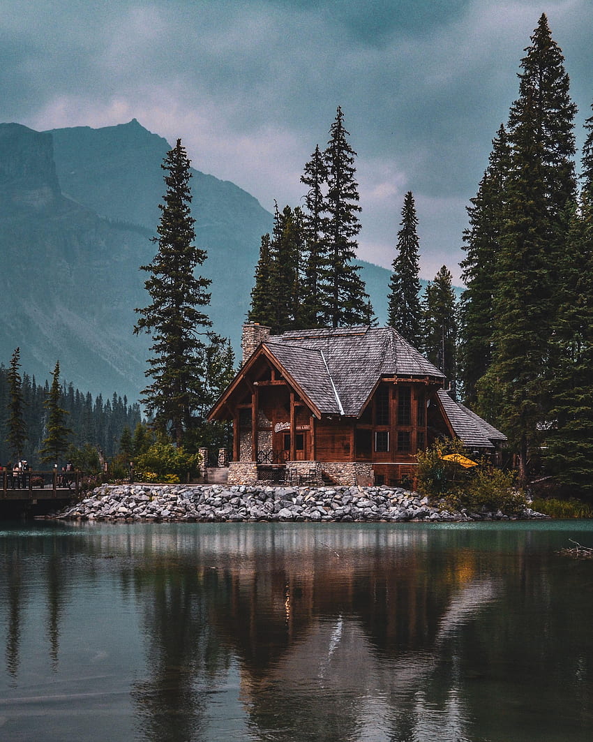Nature, Trees, Lake, Forest, Small House, Lodge, Silence, Harmony HD phone wallpaper