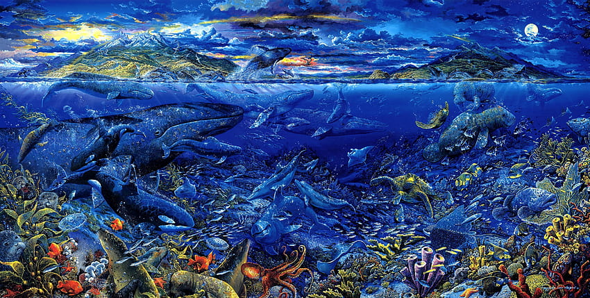 Warm Blue Waters Background . Ocean background, Underwater , Ocean animals, Hawaii Underwater HD wallpaper