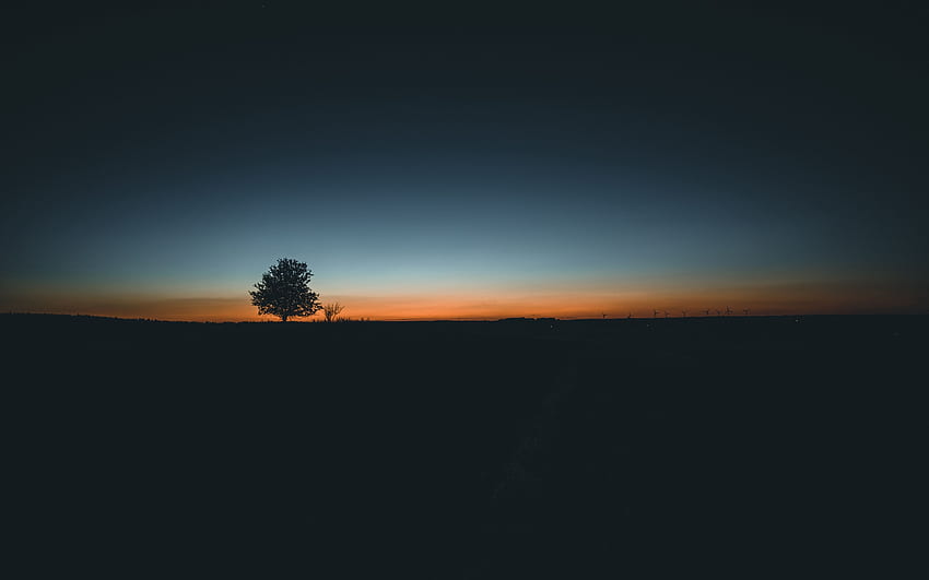 Tree, Horizon, Minimalism, Sunset - Minimalist, Minimalist Beach HD wallpaper