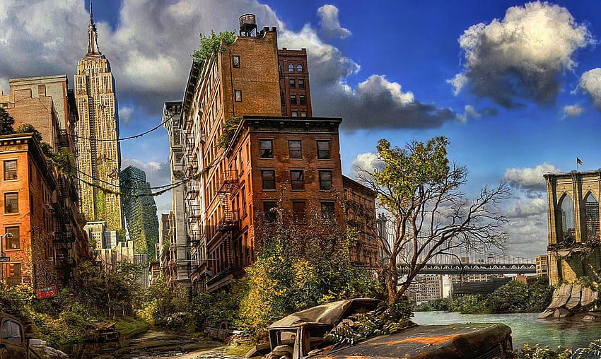New York , City Landscape, America, Financial District HD wallpaper