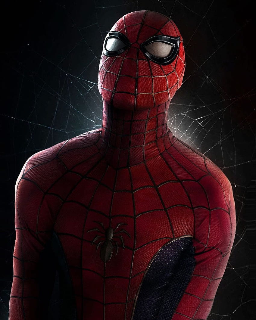 Spiderman, New-spiderman, Spiderman-nwh HD phone wallpaper