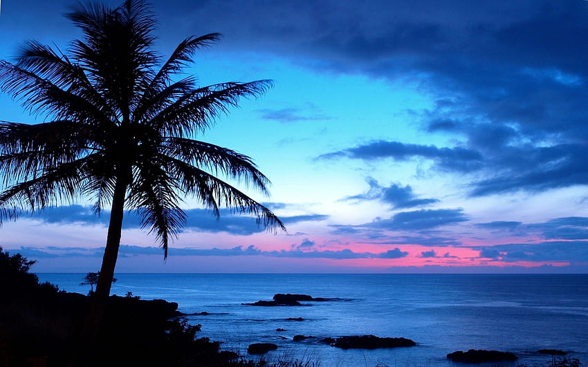 Hawaiian, Hawaiian Sunrise HD wallpaper