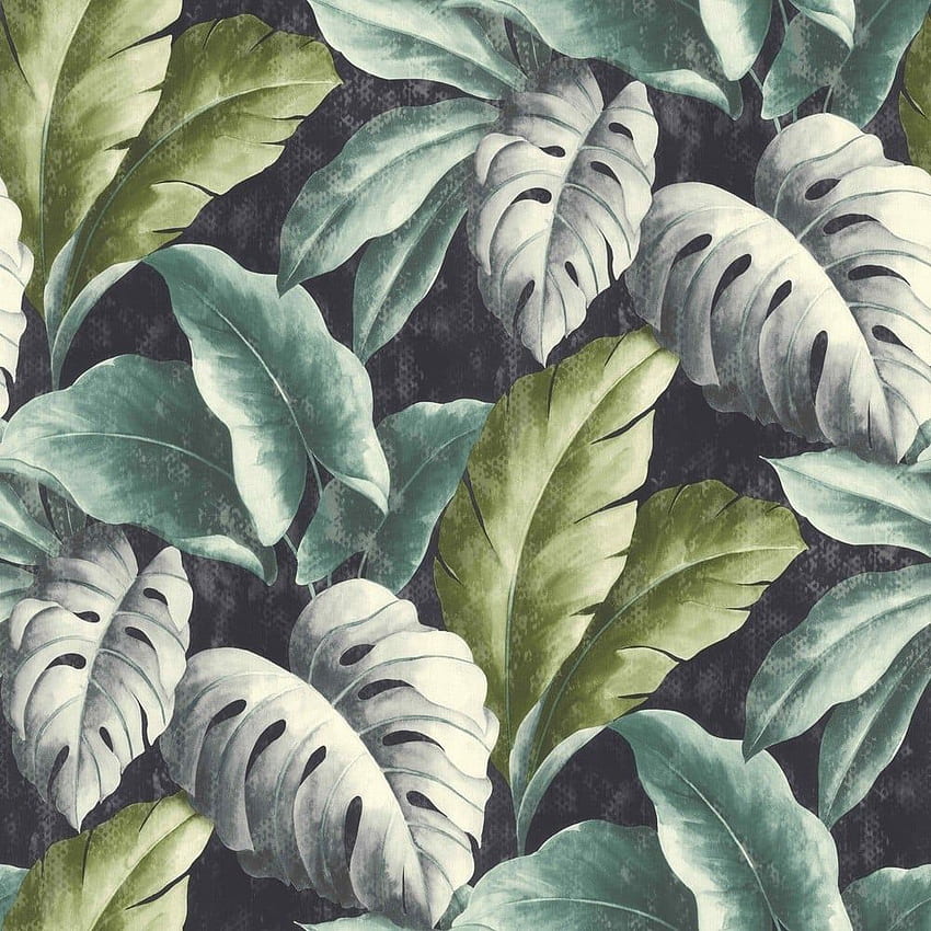 Botanical Tropical Leaves Pattern Tree Leaf Textured Motif BA2404 HD phone wallpaper
