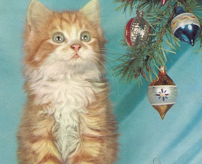Waiting for Christmas, christmas kitten, christmas, ornament, ginger, tree HD wallpaper