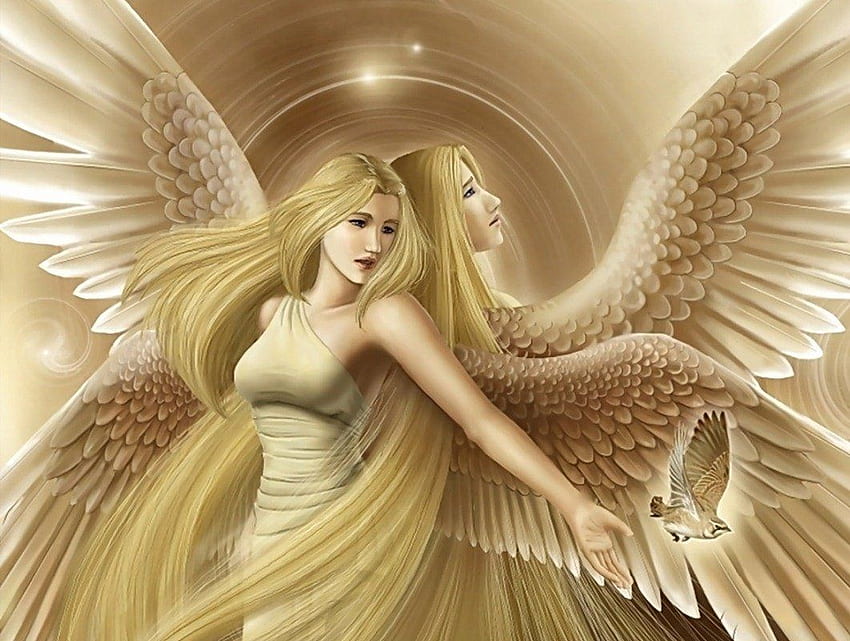 Angel Fairies Wallpaper (56+ images)