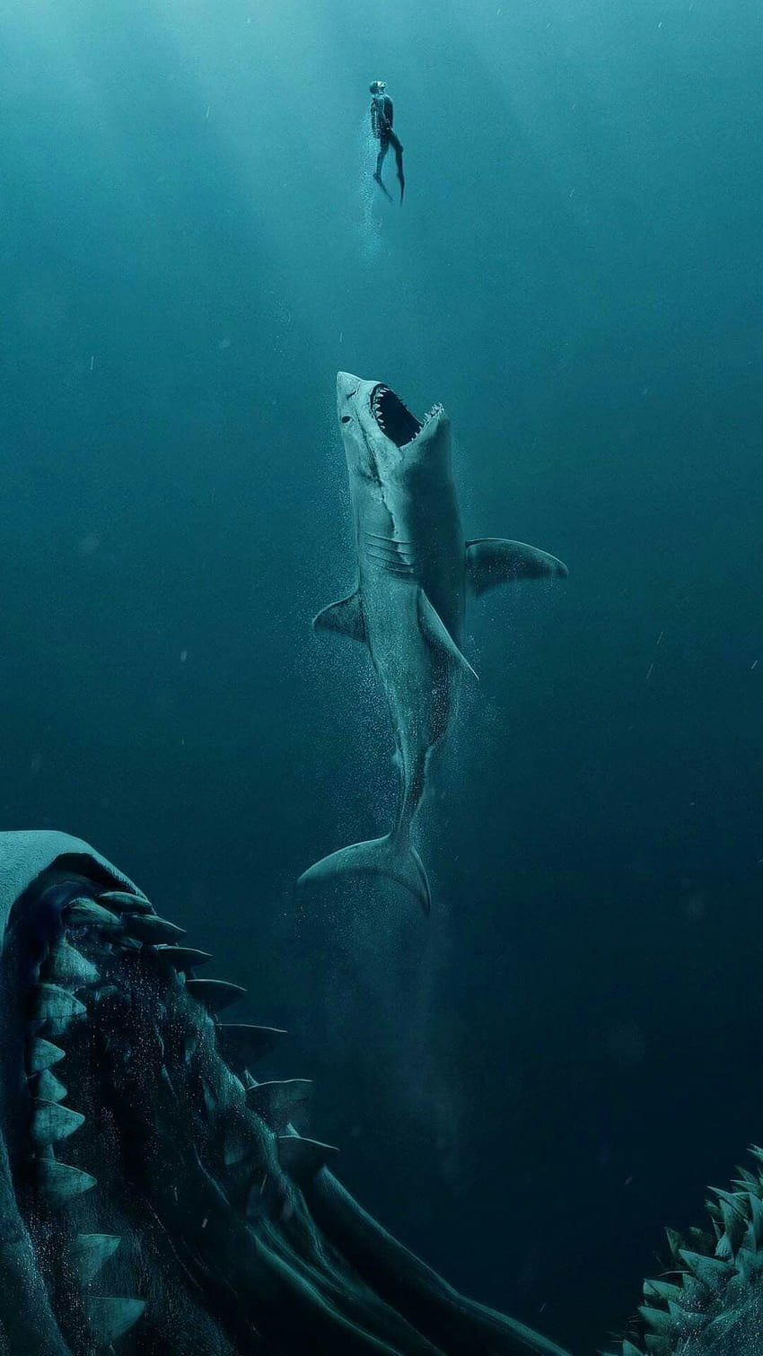 Ira Zakharchenko on ОБОИ ДЛЯ ТЕЛЕФОНА in 2019. Sea, Shark HD phone wallpaper