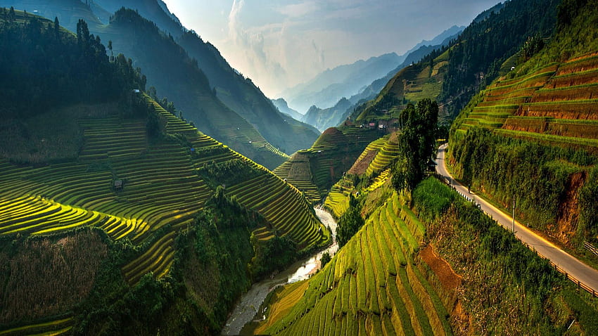 Mu Cang Chai terraced, Vietnam, beautiful landscape HD wallpaper