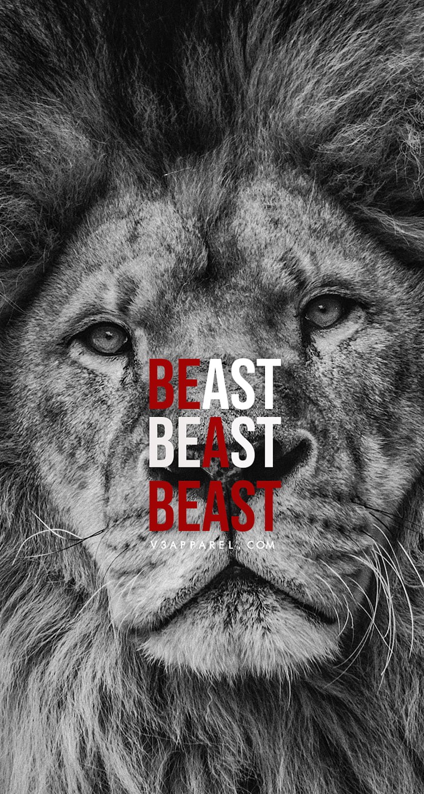 BE A BEAST this MadeToMotivate and many more for moti. Gym , Fitness motivation quotes, Gym motivation quotes HD phone wallpaper