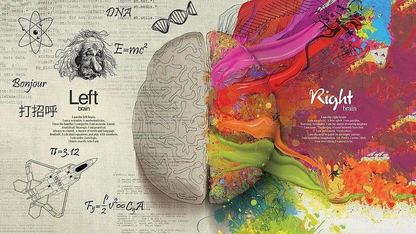 Brain, Brain vs Heart HD wallpaper