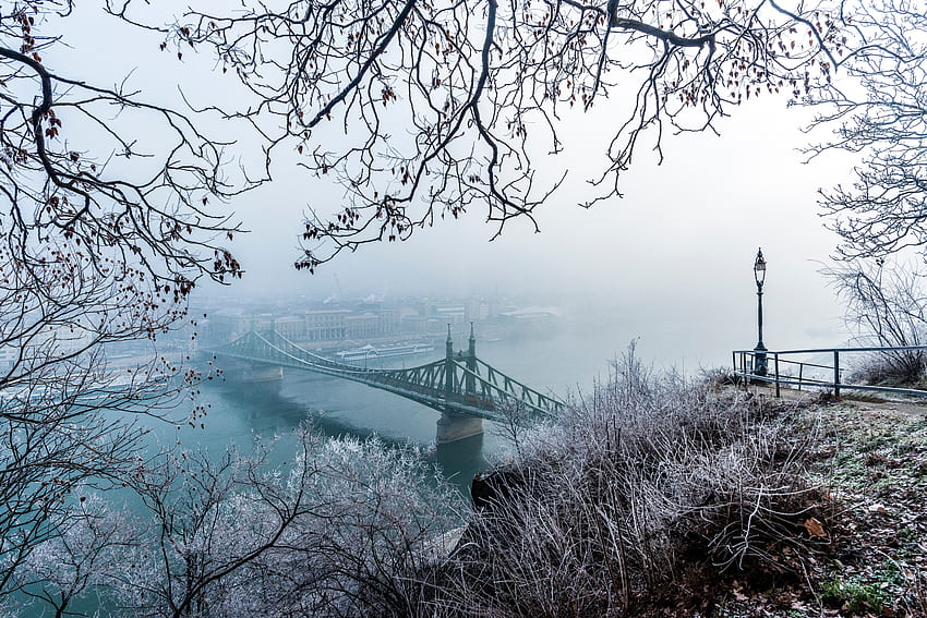 都市, 冬, 雪, 上からの眺め, 霧, 枝, 橋, 霜, 霧氷, ハンガリー, ブダペスト 高画質の壁紙