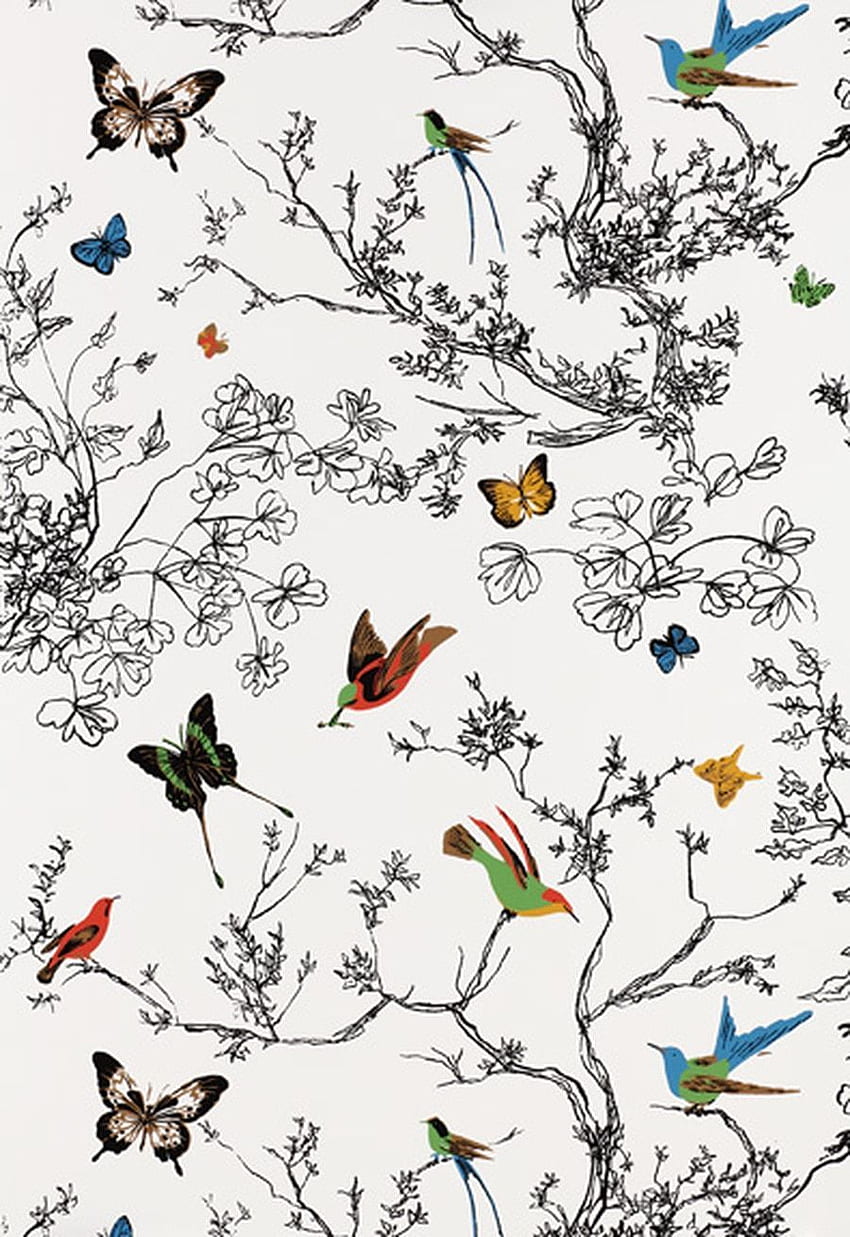 Birds and Butterflies Wallpapers  Top Free Birds and Butterflies  Backgrounds  WallpaperAccess