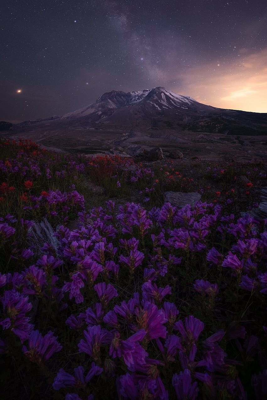 Mt St Helens During Twilight [] (x Post R Earthporn). IPhone X IPhone X HD phone wallpaper