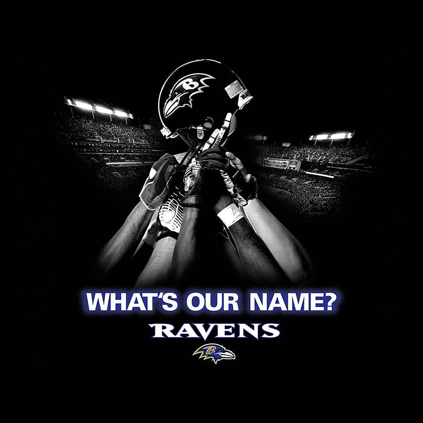 Page 5, baltimore ravens baltimore ravens HD wallpapers