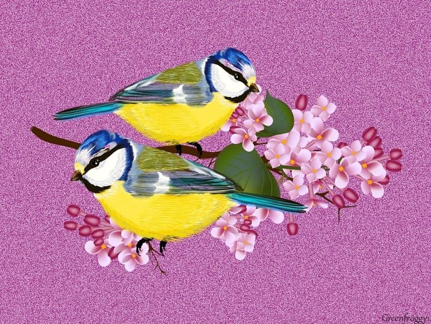 TWO BIRDS ON LILACS, BIRDS, ART, CREATION, TWO HD wallpaper