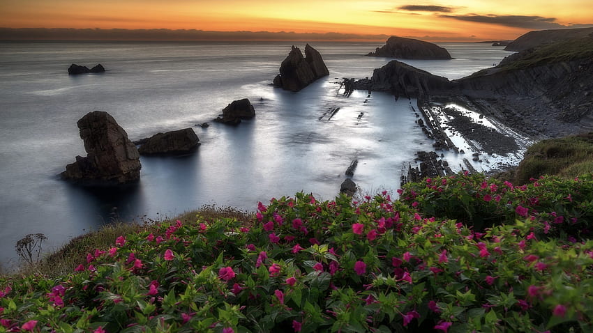 Oregon Coast, sky, rocks, sunset, wildflowers, sea, usa HD wallpaper