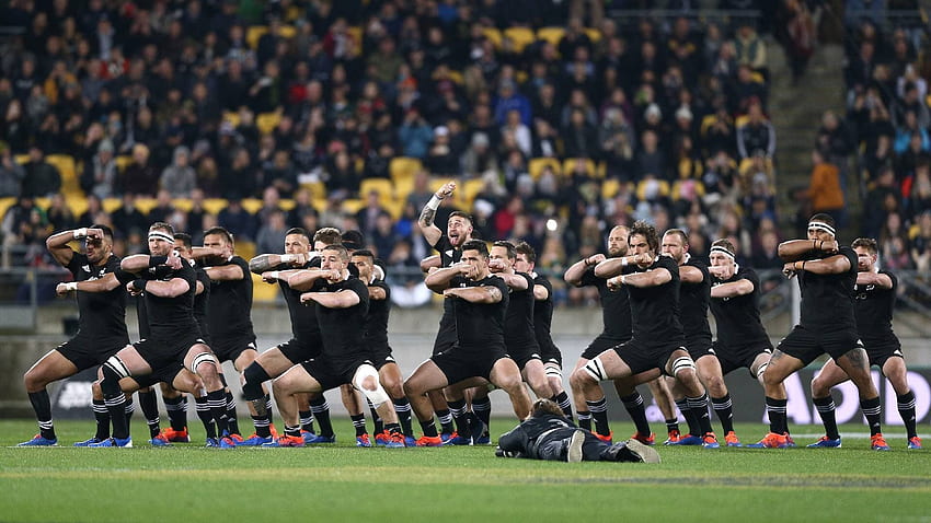 Plans still afoot for 2020 Rugby Championship: 'New Zealand is currently the favoured option', New Zealand All Blacks HD wallpaper