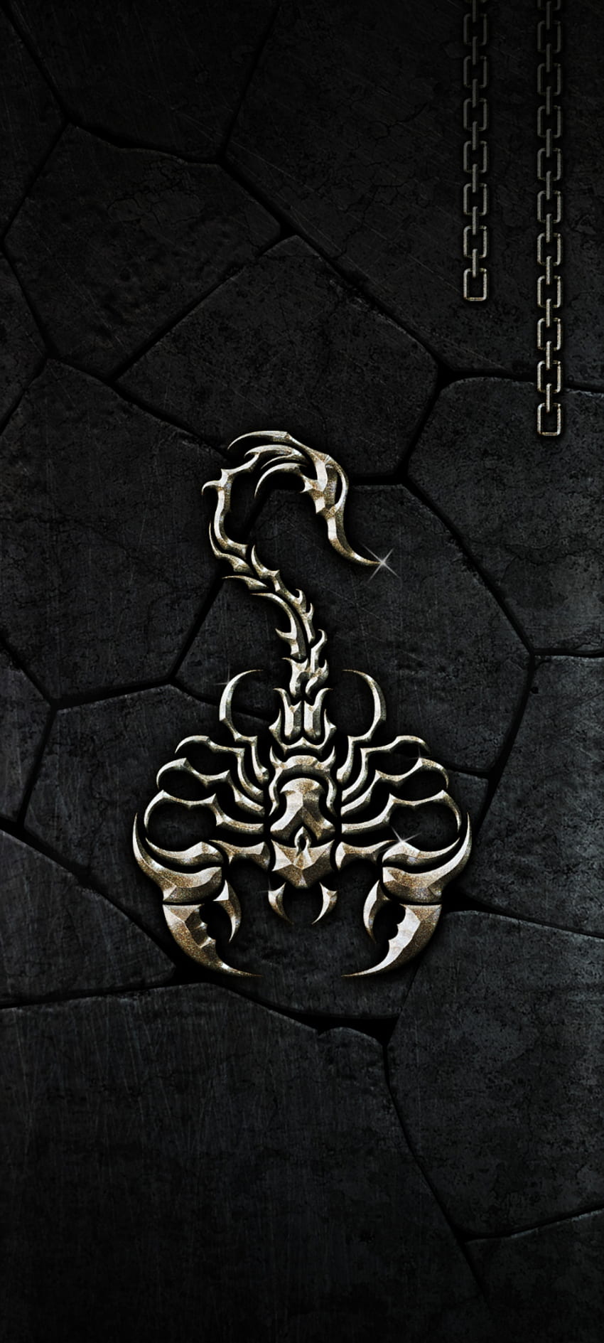 Strong Scorpion HD phone wallpaper