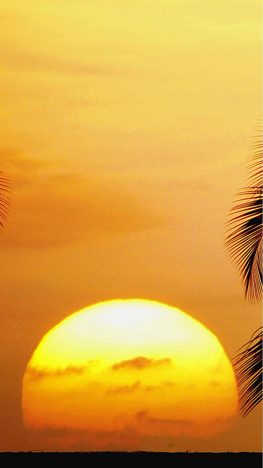 K69 473138 Android Android, Hawaiian Sunrise HD phone wallpaper