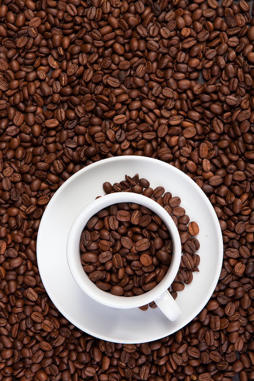 Food, Coffee, Cup, Grains, Coffee Beans, Grain, Mug HD phone wallpaper