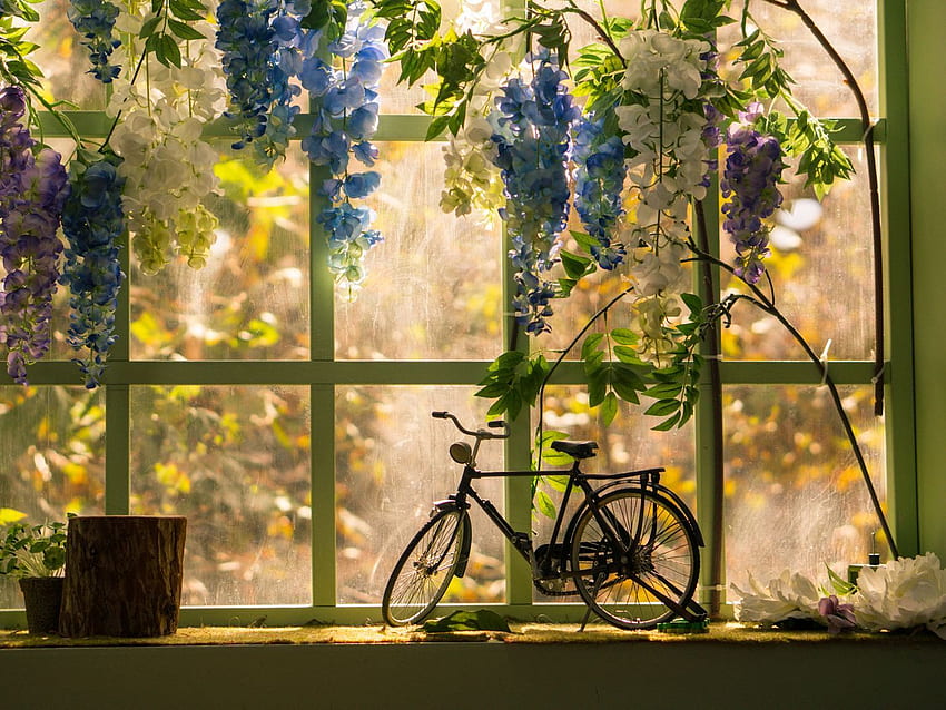 bicycle, window, statuette, flowers standard 4:3 background HD wallpaper