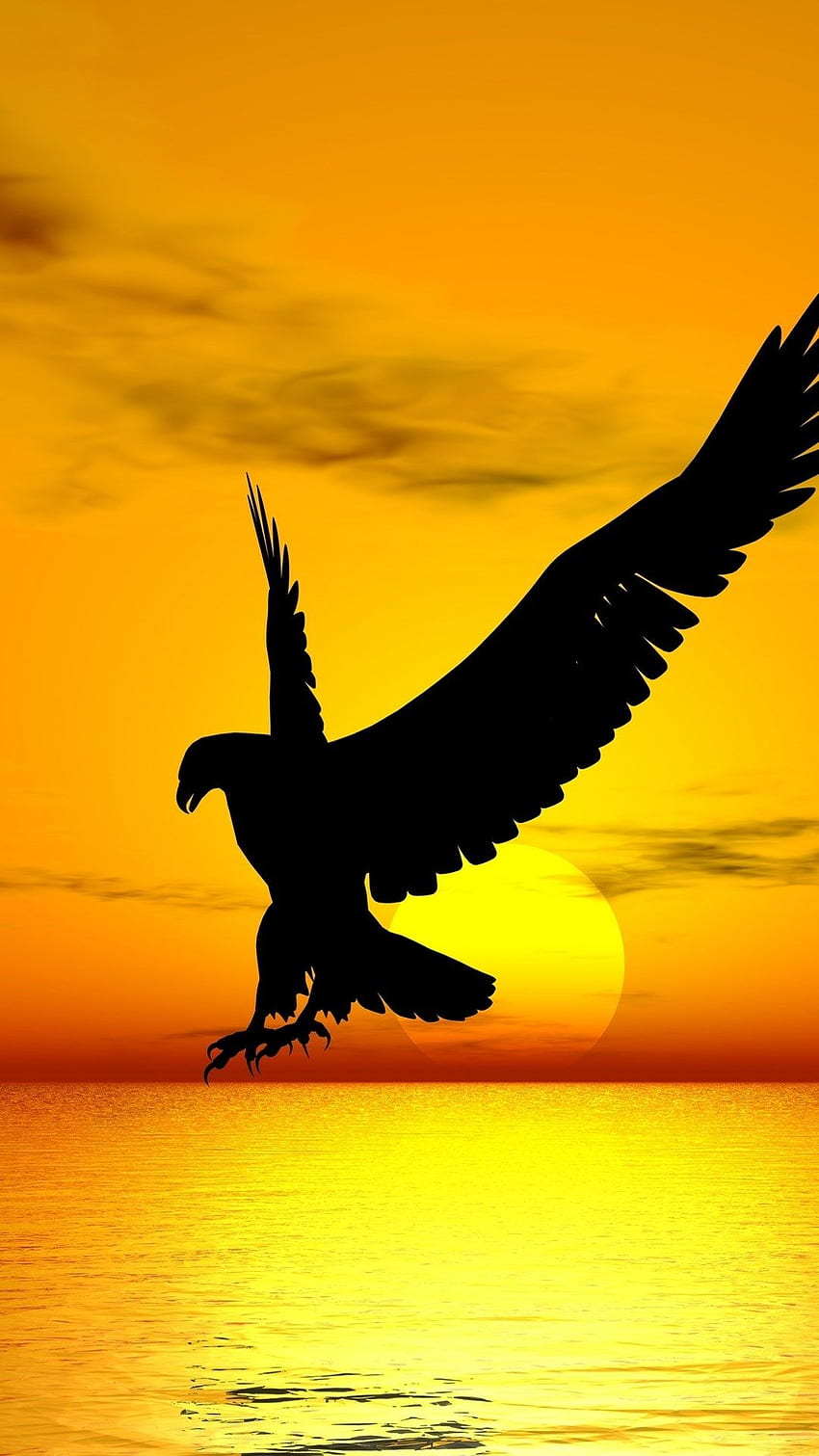 Ƒ↑TIPPEN UND DIE APP HERUNTERLADEN! Tiere Silhouette des Adlers Orange Sonne Sonnenuntergang Ozean Meer I. Aguia americana, Pinturas de paisagem aquarela, Videos de animais selvagens HD-Handy-Hintergrundbild