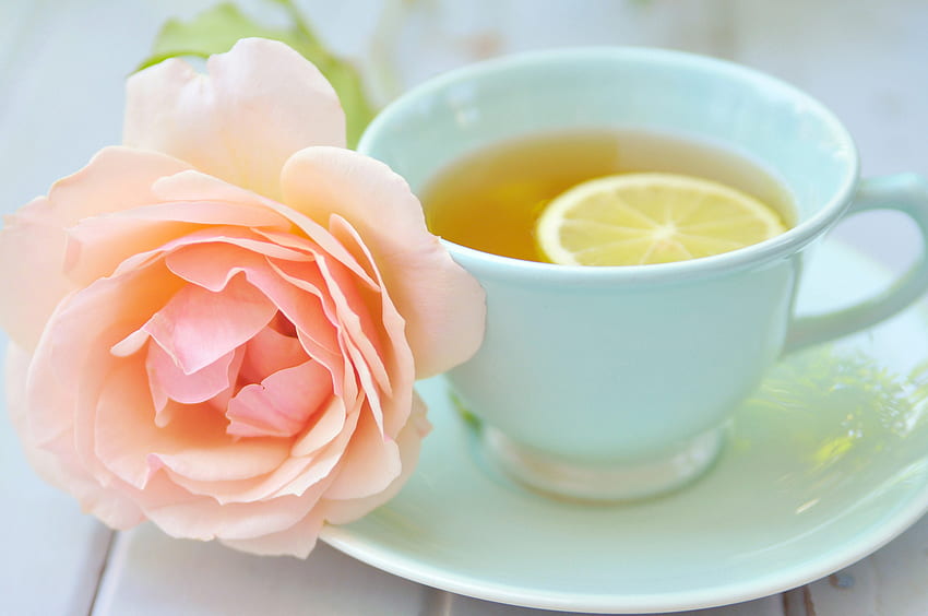 Храна, розово цвете, роза, чаша, лимон, чай HD тапет