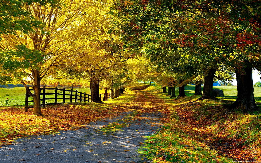 Country, Autumn Country HD wallpaper