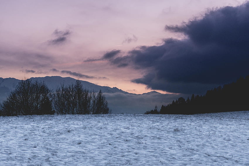Natur, Bäume, Berge, Wolken, Schnee, Feld HD-Hintergrundbild