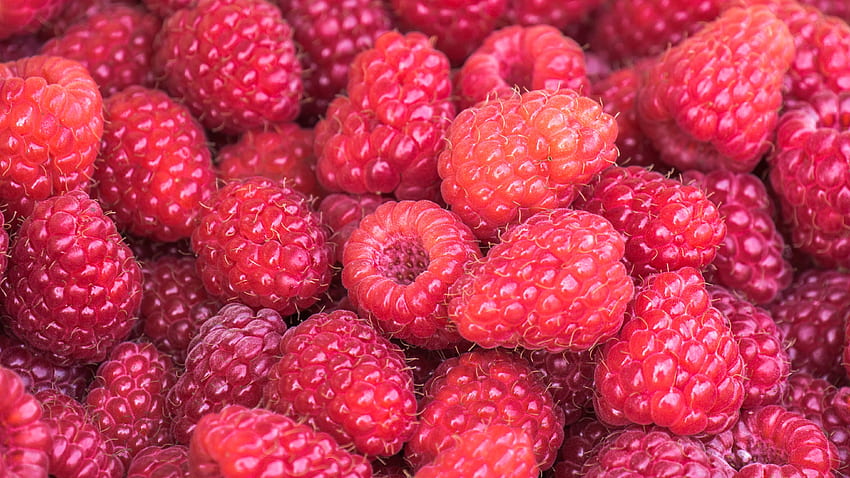 Food, Summer, Raspberry, Berries, Vitamins, Ripe HD wallpaper
