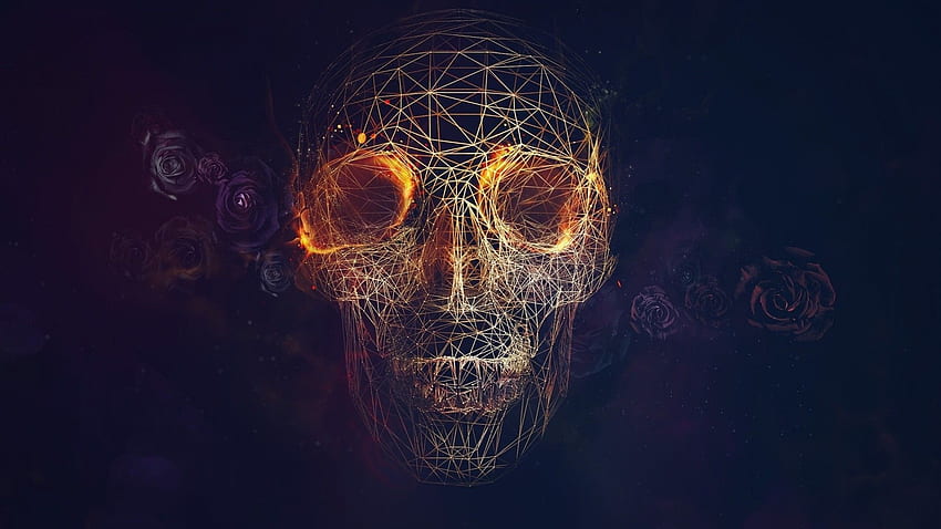 wireframe, CGI, Skull, Fire, Rose, Vectors, Lines, Blue, 3D Skulls and Roses HD wallpaper