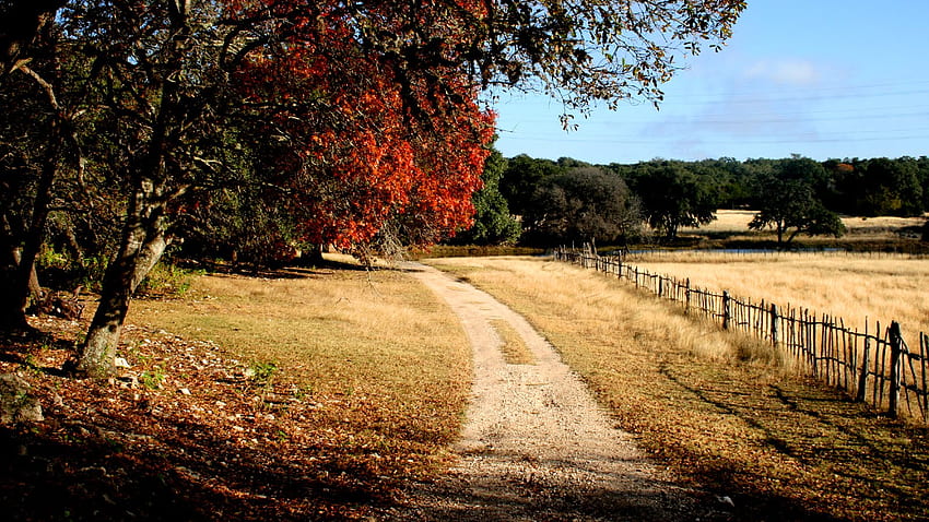 Texas Hill Country, Pemandangan Texas Wallpaper HD