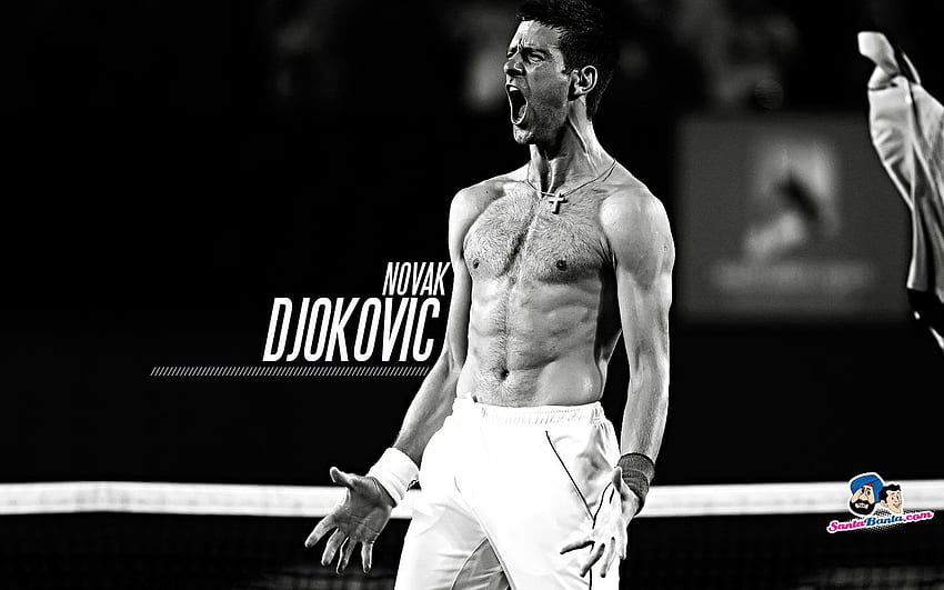 Novak Djokovic - Novak Djokovic Fond d'écran, Novak Đoković HD-Hintergrundbild