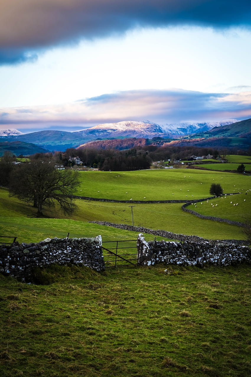 green grass field with mountain in distance – Field on Unsplash, Welsh Countryside HD phone wallpaper