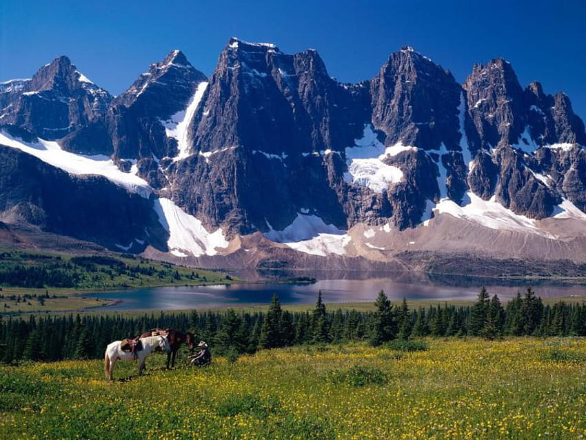 landscape in canada, horse, mountains, lake, snow HD wallpaper
