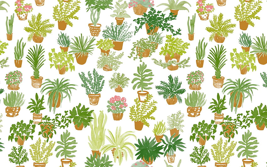 植物の背景Tumblr。 インディープラント、観葉植物とバナナプラント、ミニマリストTumblrプラント 高画質の壁紙