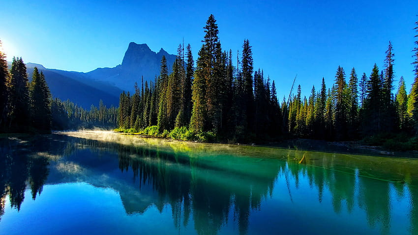 Beau Paysage Épinettes Avec Ciel Bleu Lumière Soleil Reflet Montagnes Fond Nature Fond d'écran HD